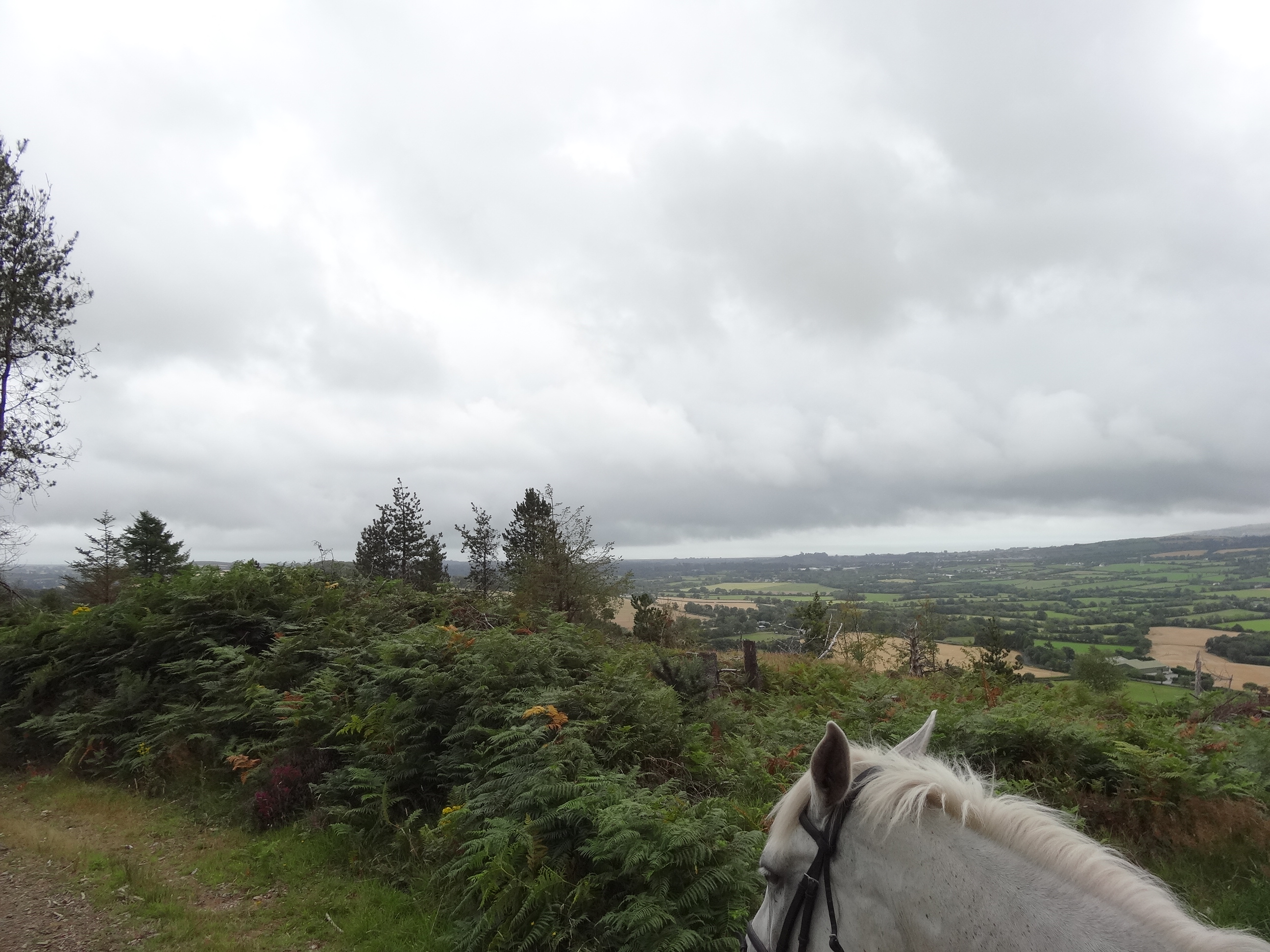 Wales behind the clouds