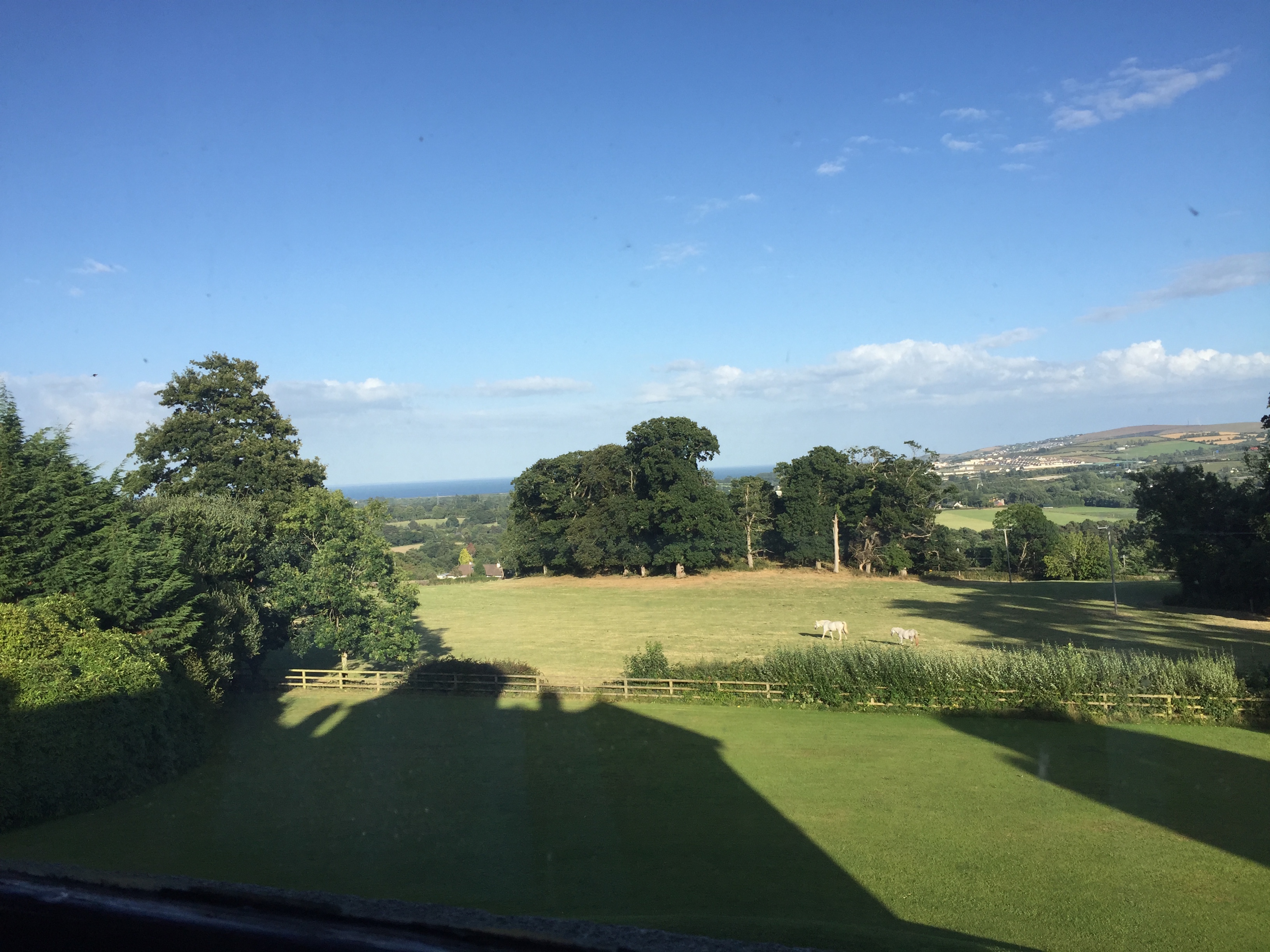 a toilet with a view