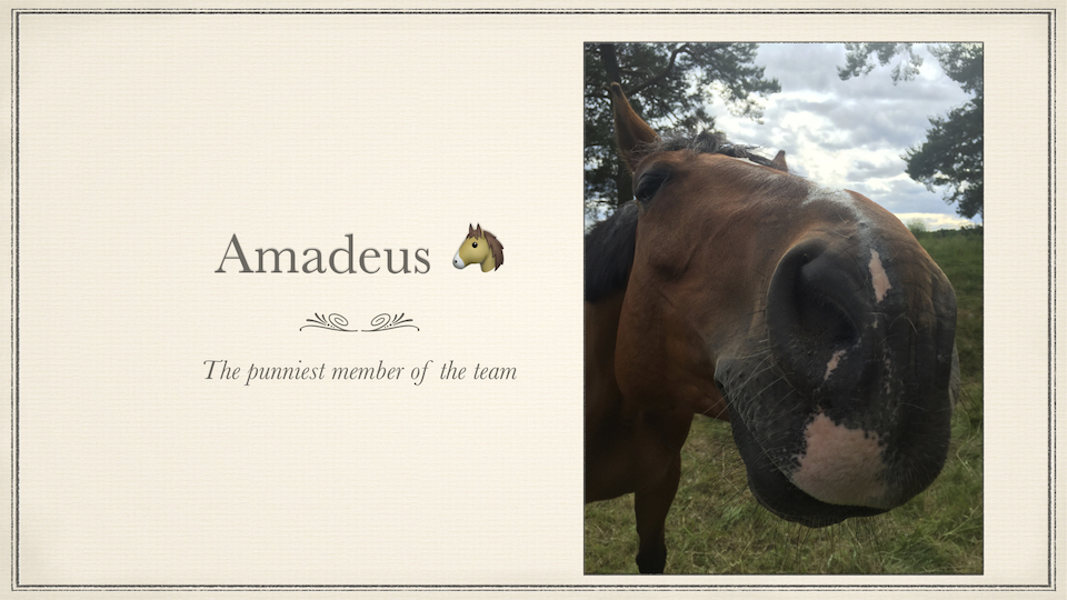 Amadeus